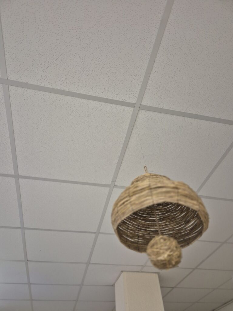 Atrask floristo talentą 3